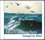 MEERESRAUSCHEN Seevoegel im Wind, Audio-CD